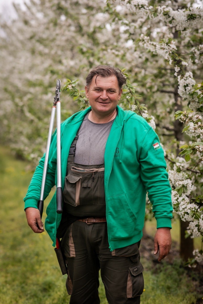 Míg József metszőollóval a virágzó gyümölcsösben