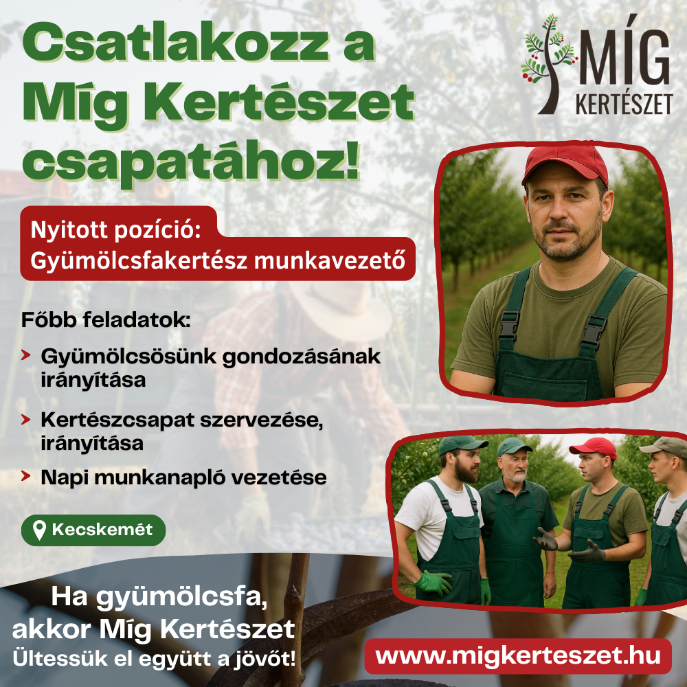 Gyümölcsfakertész munkavezető